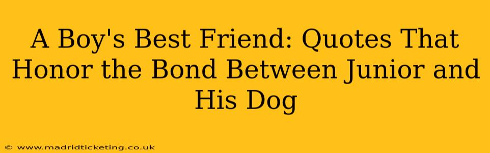 A Boy's Best Friend: Quotes That Honor the Bond Between Junior and His Dog