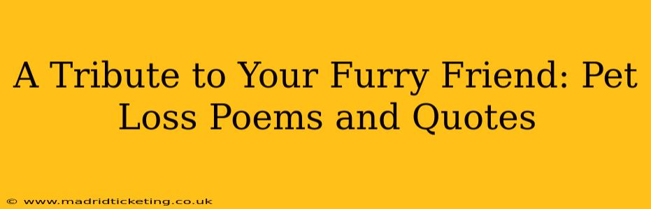 A Tribute to Your Furry Friend: Pet Loss Poems and Quotes