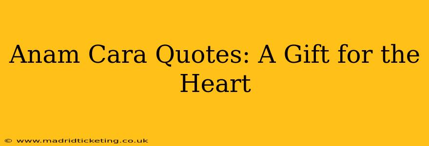 Anam Cara Quotes: A Gift for the Heart