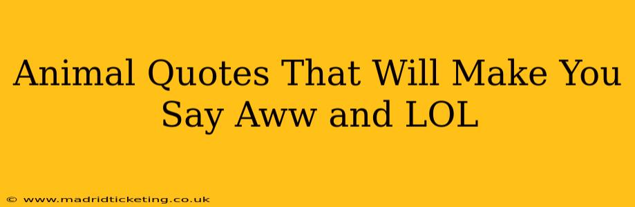 Animal Quotes That Will Make You Say Aww and LOL