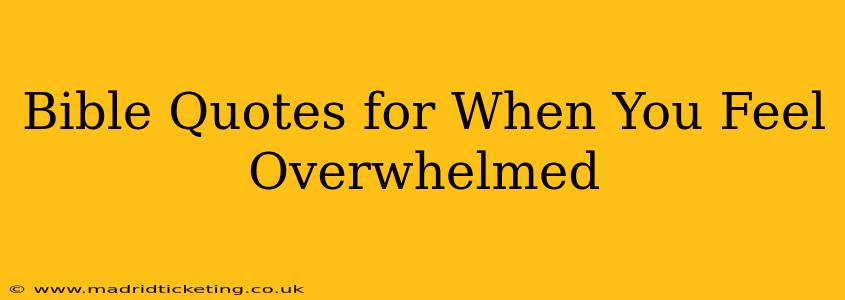 Bible Quotes for When You Feel Overwhelmed