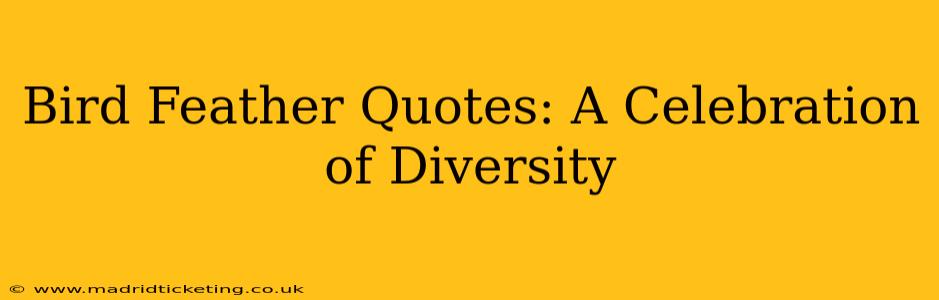 Bird Feather Quotes: A Celebration of Diversity