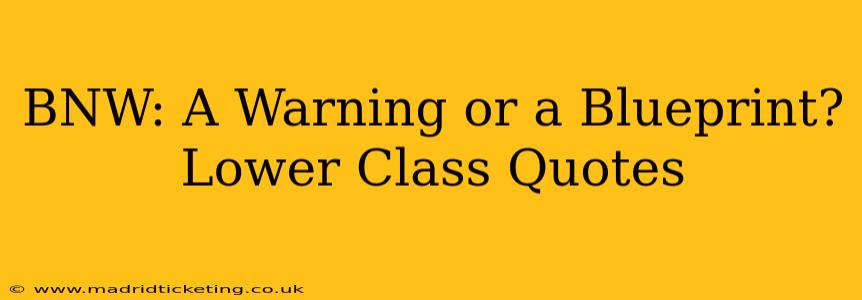 BNW: A Warning or a Blueprint? Lower Class Quotes