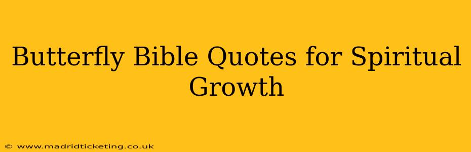 Butterfly Bible Quotes for Spiritual Growth