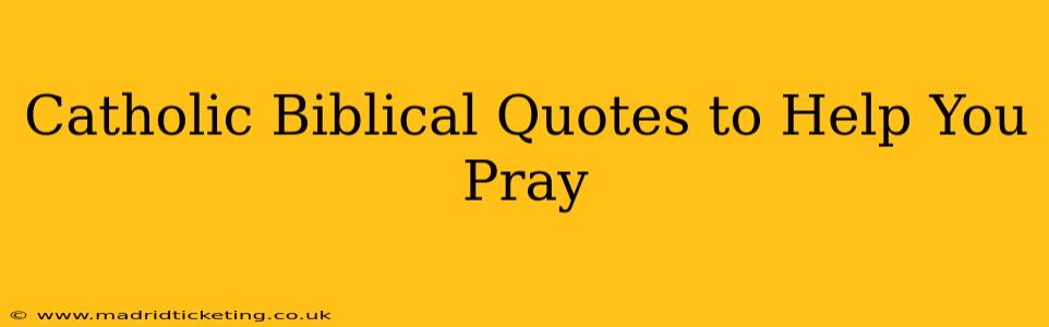Catholic Biblical Quotes to Help You Pray