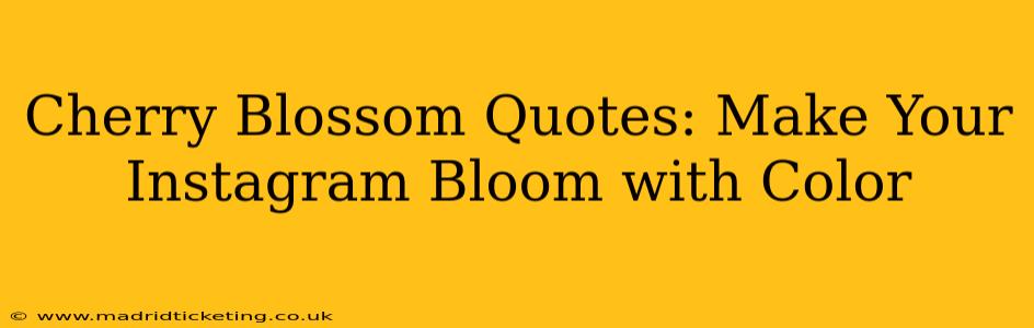 Cherry Blossom Quotes: Make Your Instagram Bloom with Color