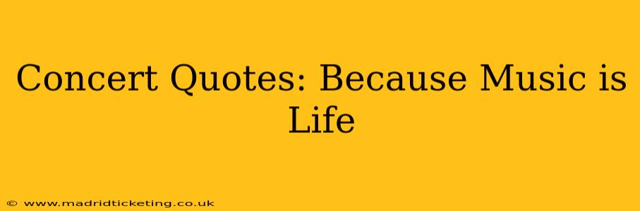 Concert Quotes: Because Music is Life
