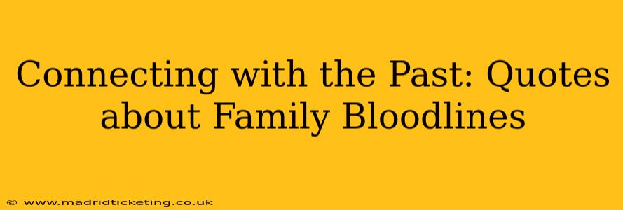 Connecting with the Past: Quotes about Family Bloodlines