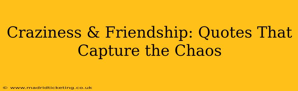 Craziness & Friendship: Quotes That Capture the Chaos