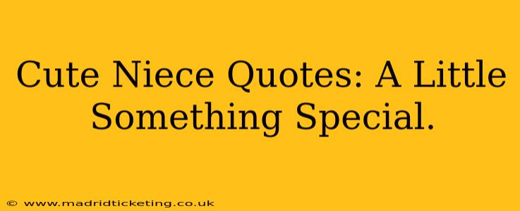 Cute Niece Quotes: A Little Something Special.