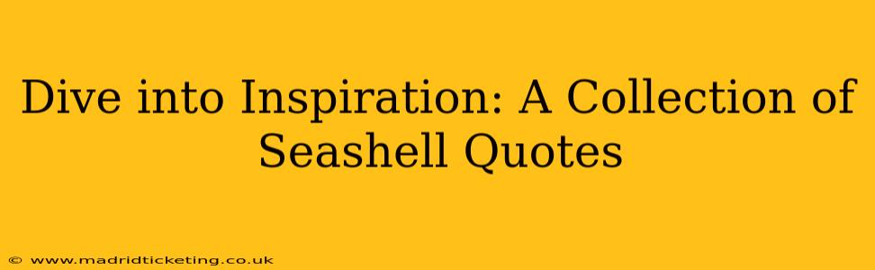 Dive into Inspiration: A Collection of Seashell Quotes