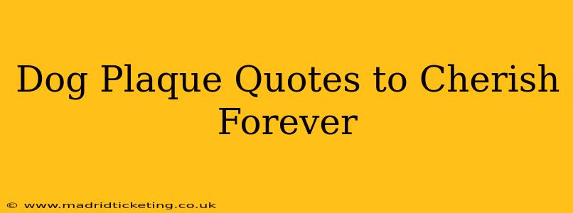 Dog Plaque Quotes to Cherish Forever