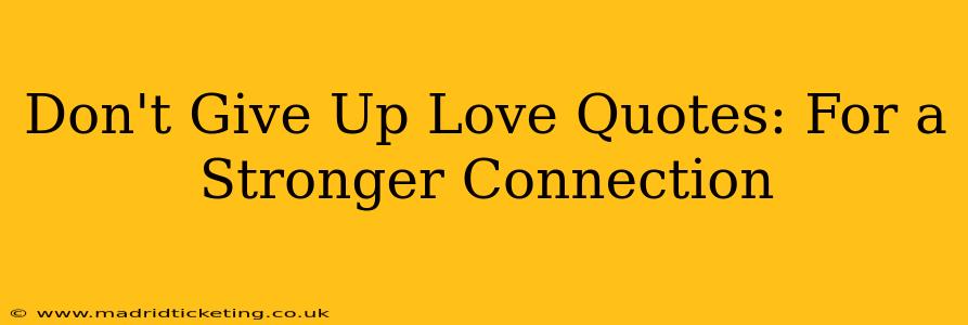 Don't Give Up Love Quotes: For a Stronger Connection