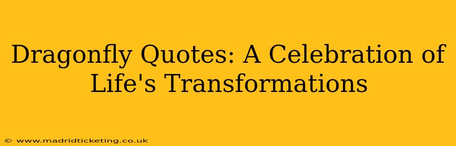 Dragonfly Quotes: A Celebration of Life's Transformations
