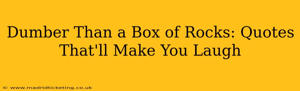 Dumber Than a Box of Rocks: Quotes That'll Make You Laugh