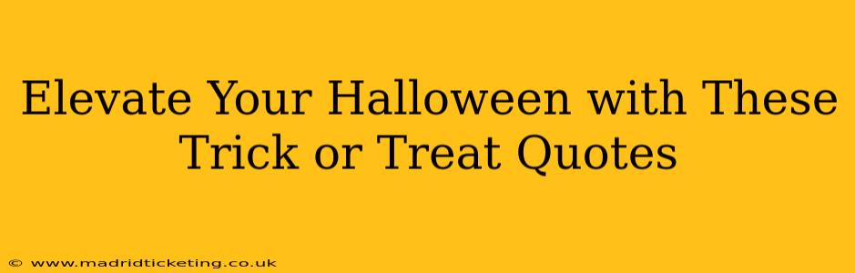 Elevate Your Halloween with These Trick or Treat Quotes