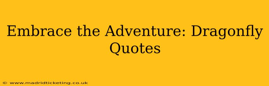 Embrace the Adventure: Dragonfly Quotes