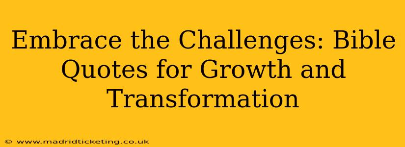 Embrace the Challenges: Bible Quotes for Growth and Transformation