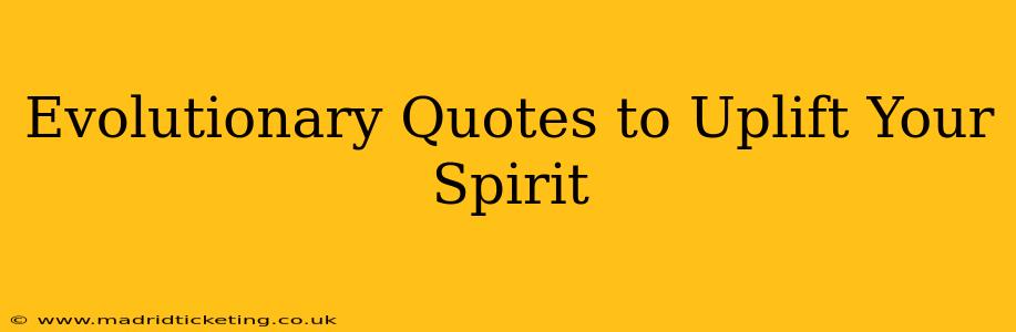 Evolutionary Quotes to Uplift Your Spirit