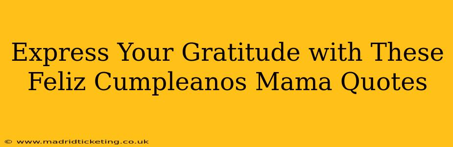 Express Your Gratitude with These Feliz Cumpleanos Mama Quotes