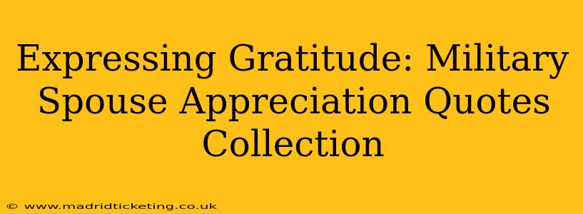 Expressing Gratitude: Military Spouse Appreciation Quotes Collection