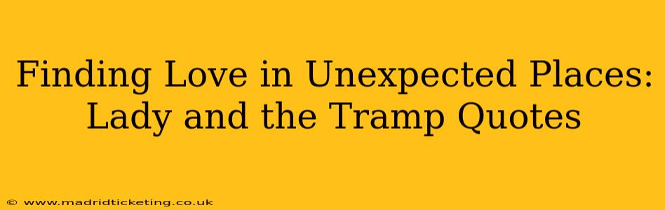 Finding Love in Unexpected Places: Lady and the Tramp Quotes