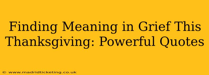 Finding Meaning in Grief This Thanksgiving: Powerful Quotes