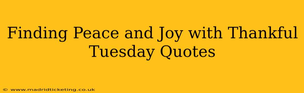 Finding Peace and Joy with Thankful Tuesday Quotes