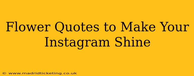 Flower Quotes to Make Your Instagram Shine