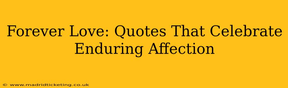 Forever Love: Quotes That Celebrate Enduring Affection