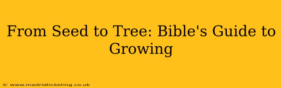 From Seed to Tree: Bible's Guide to Growing