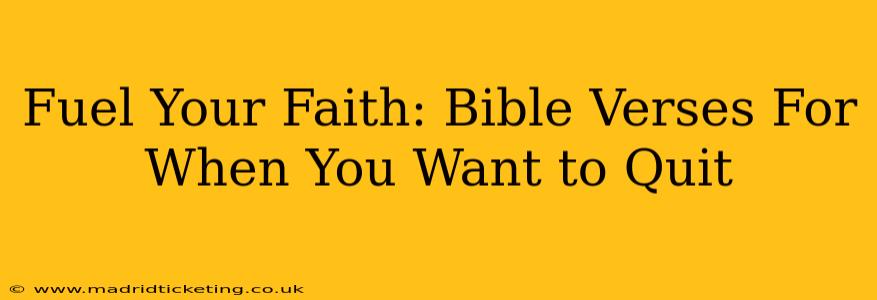 Fuel Your Faith: Bible Verses For When You Want to Quit
