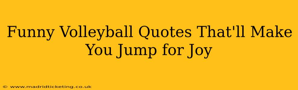 Funny Volleyball Quotes That'll Make You Jump for Joy