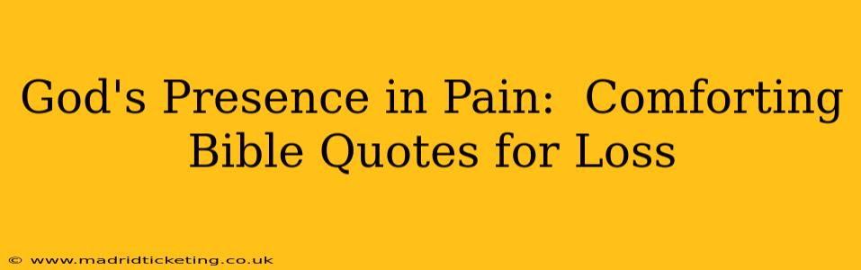 God's Presence in Pain:  Comforting Bible Quotes for Loss