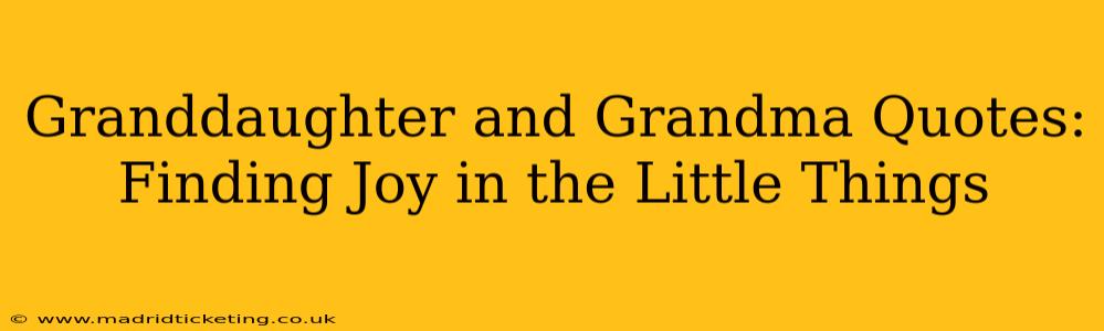 Granddaughter and Grandma Quotes: Finding Joy in the Little Things
