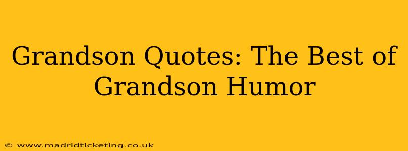 Grandson Quotes: The Best of Grandson Humor