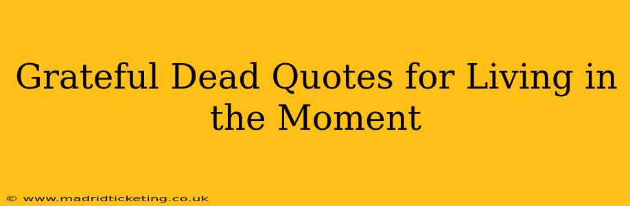 Grateful Dead Quotes for Living in the Moment