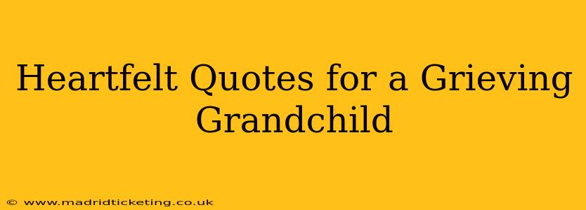 Heartfelt Quotes for a Grieving Grandchild