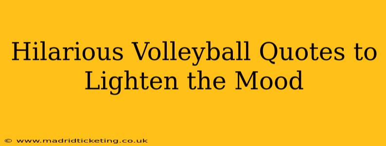 Hilarious Volleyball Quotes to Lighten the Mood