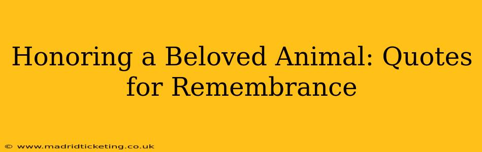 Honoring a Beloved Animal: Quotes for Remembrance