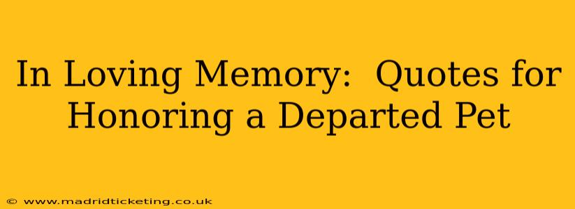 In Loving Memory:  Quotes for Honoring a Departed Pet