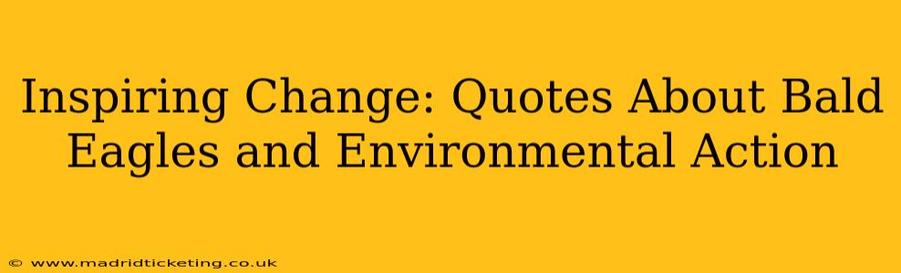 Inspiring Change: Quotes About Bald Eagles and Environmental Action