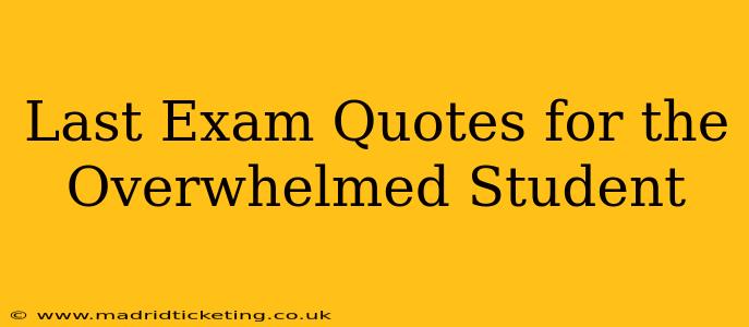 Last Exam Quotes for the Overwhelmed Student