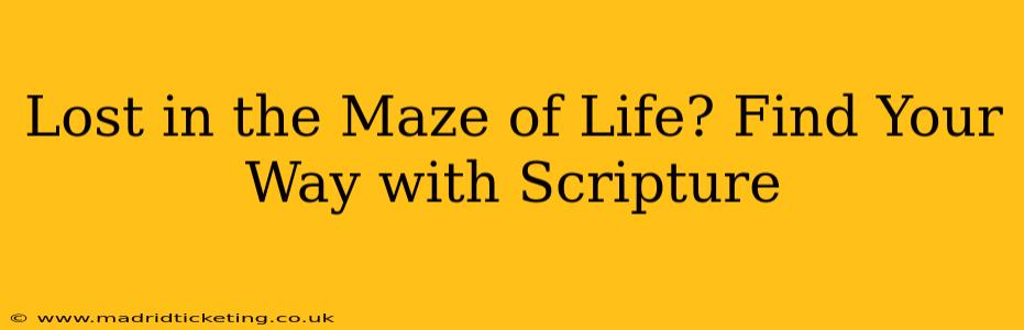 Lost in the Maze of Life? Find Your Way with Scripture