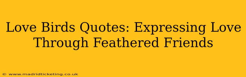Love Birds Quotes: Expressing Love Through Feathered Friends