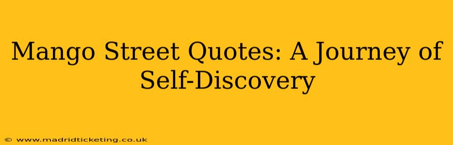 Mango Street Quotes: A Journey of Self-Discovery