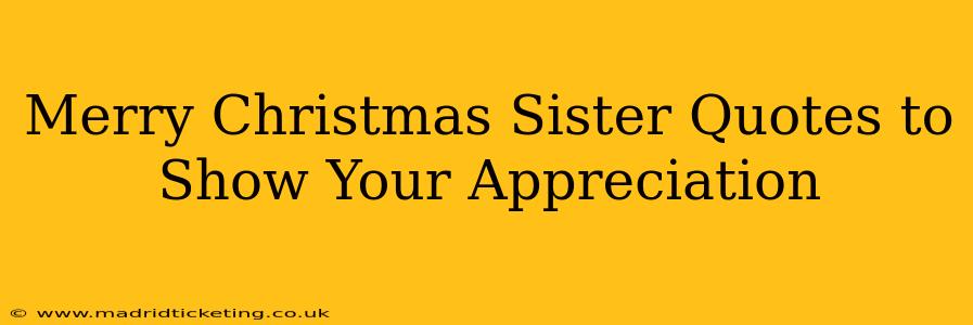 Merry Christmas Sister Quotes to Show Your Appreciation