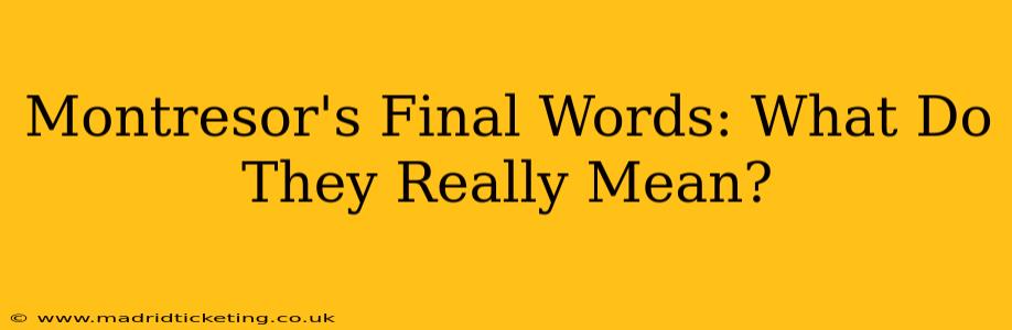 Montresor's Final Words: What Do They Really Mean?