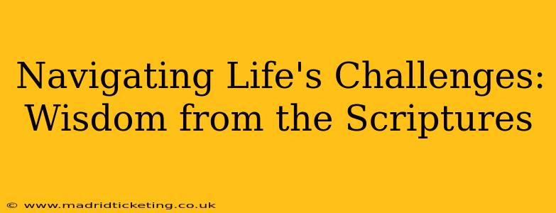 Navigating Life's Challenges: Wisdom from the Scriptures