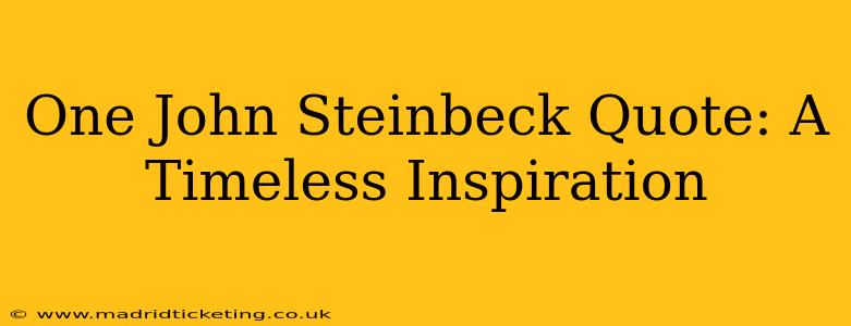 One John Steinbeck Quote: A Timeless Inspiration